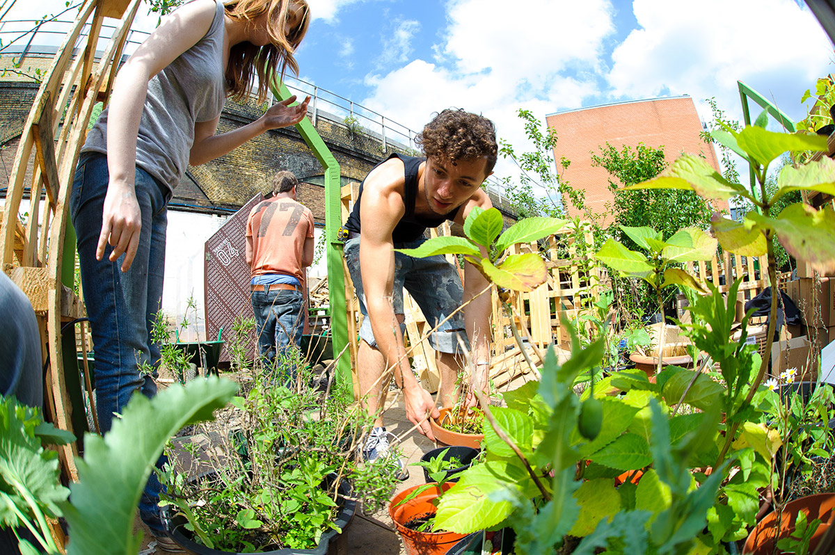 Union Street Urban Orchard