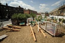 Urban Physic Garden