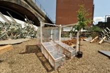 Urban Physic Garden