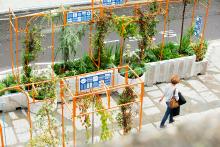 Moor Lane Community Garden