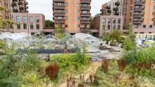 Cultivate Colindale