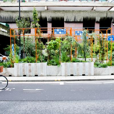 Moor Lane Community Garden